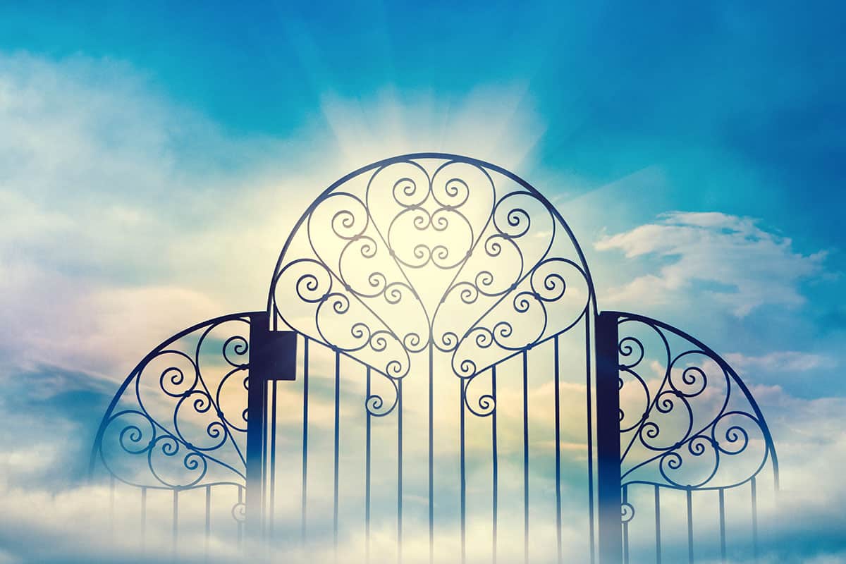 Making Platform9 the Best OpenStack Cloud for VMware vSphere