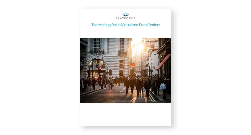 The Melting Pot in Virtualized Data Centers